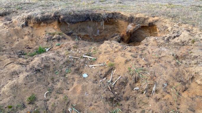 Народный корреспондент: «На карьере в Емве валяются человеческие кости»
