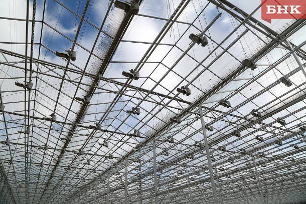 Ни один бюджет республики не сможет покрыть убытки тепличного комбината «Сосногорский» – Минсельхоз Коми