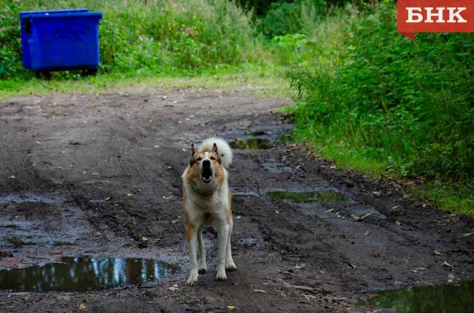 DSC_0323.jpg DSC_0323.jpg