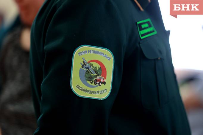 Коми признали готовой к прохождению пожароопасного сезона