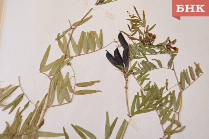 Z06_0094.jpg Z06_0094.jpg