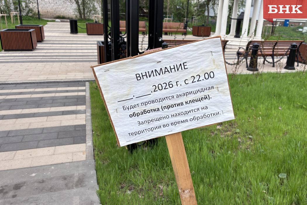 Клещи в Коми стали активнее