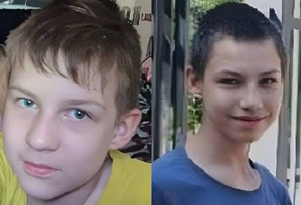 В Алешино ищут двоих пропавших детей