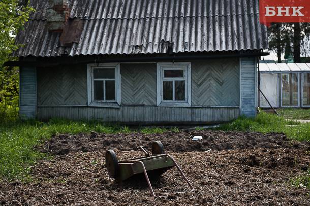 Зеленые преступники: 8 растений, которые нельзя выращивать на участке