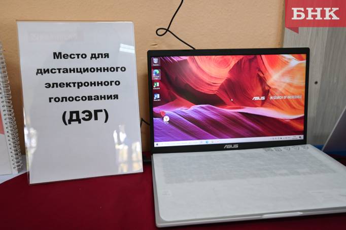 Стало известно, кого выбрали в Коми с помощью ДЭГ