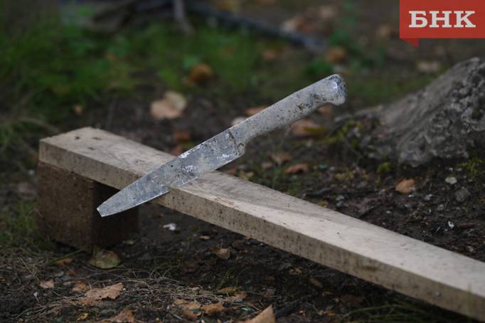 Любителя размахивать ножом из села Гам лишили свободы