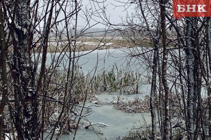 Погода в Коми: морозы и снегопады ослабнут