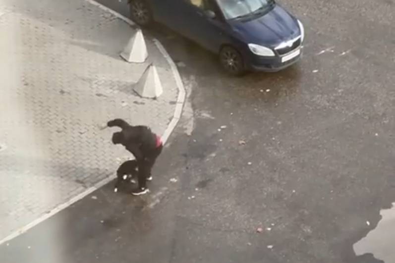 Сыктывкарцы готовят заявление в полицию о «жестоком преступлении против беззащитного существа»
