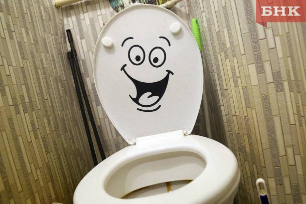 Вода из бачка унитаза не помогла ухтинцу скрыть состояние опьянения