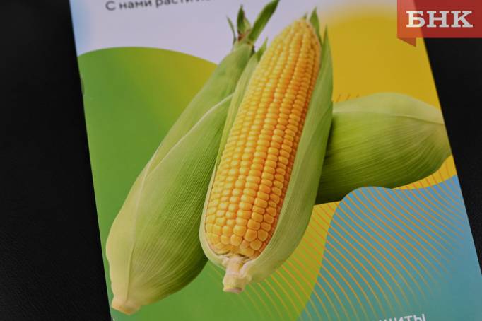 Z06_0023.jpg Z06_0023.jpg