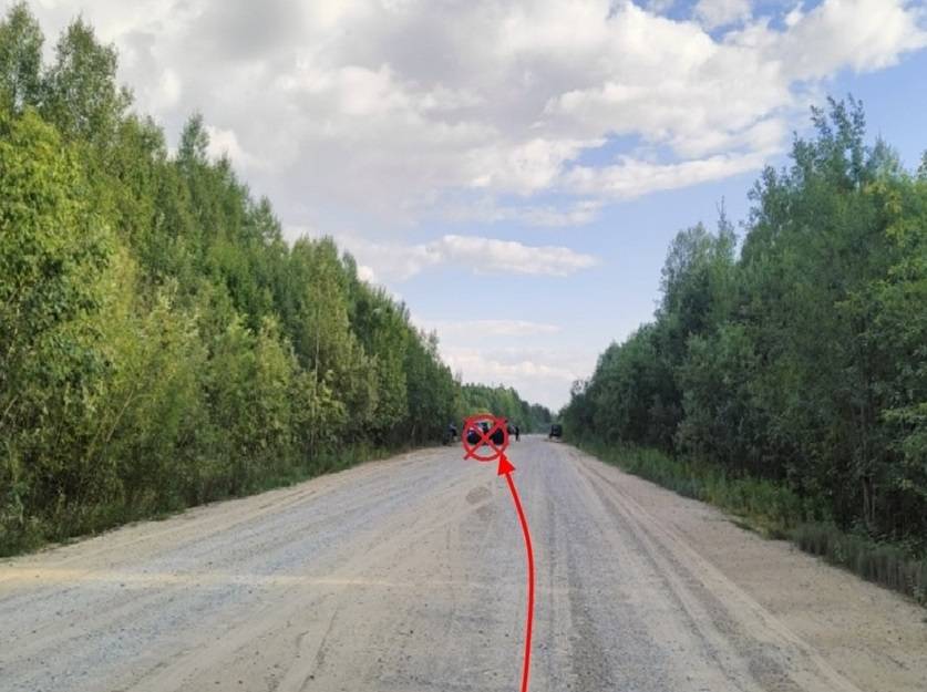 В Удорском районе подросток пострадал из-за водителя-новичка