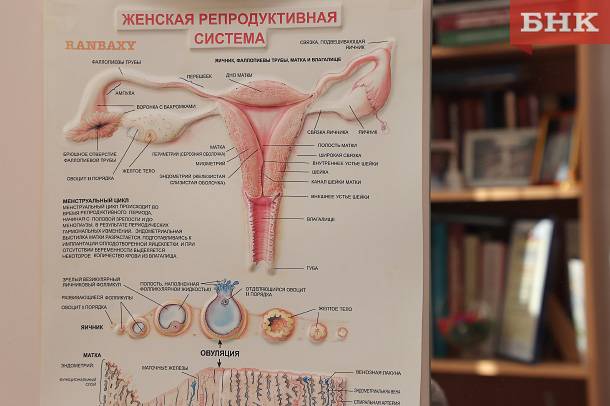 Что изменится в диспансеризации репродуктивного здоровья с 2026 года