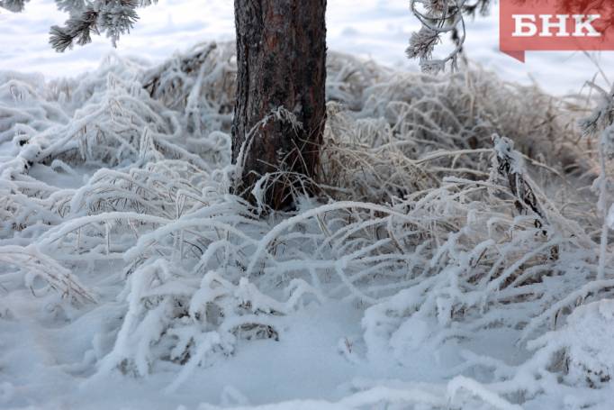 В большинстве районов Коми ожидается небольшой снег