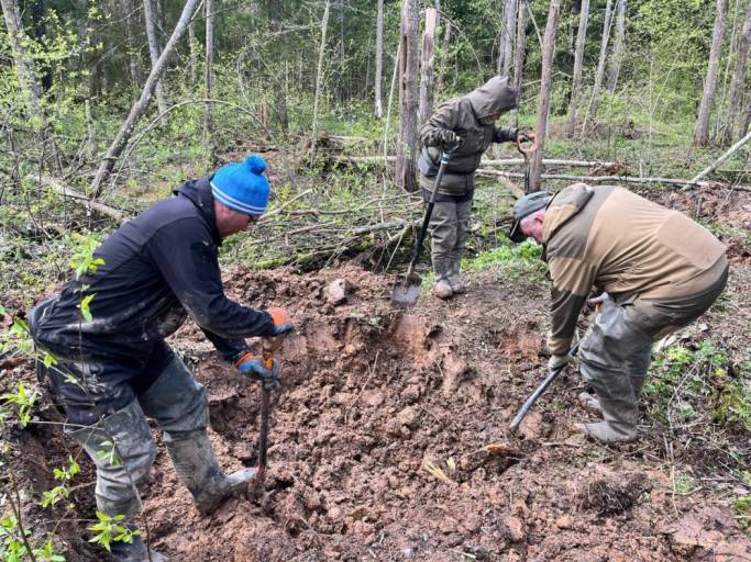 Поисковики из Коми подняли в Новгородской области останки двоих солдат Великой Отечественной войны