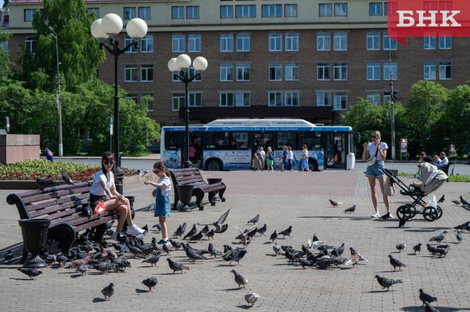 В большинстве городов и районов Коми ожидается выше 20 градусов