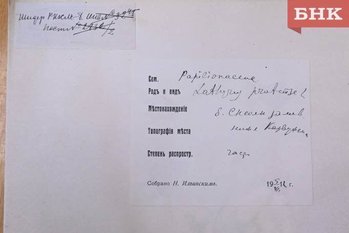 Z06_0075.jpg Z06_0075.jpg