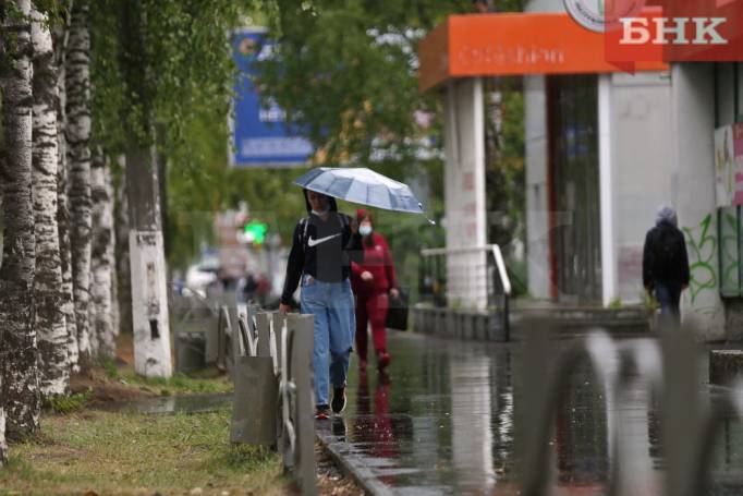 Неделя в Коми начнется с дождей и гроз