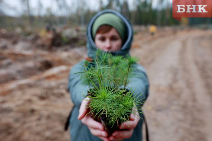 BOB_1339.jpg BOB_1339.jpg