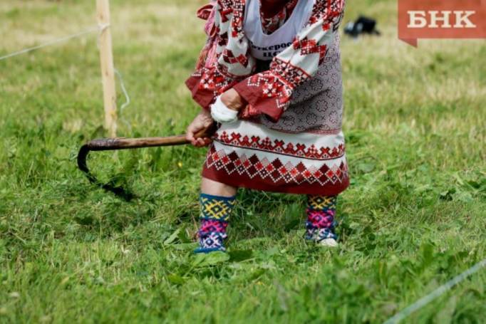 Клещи в Коми стали менее активны