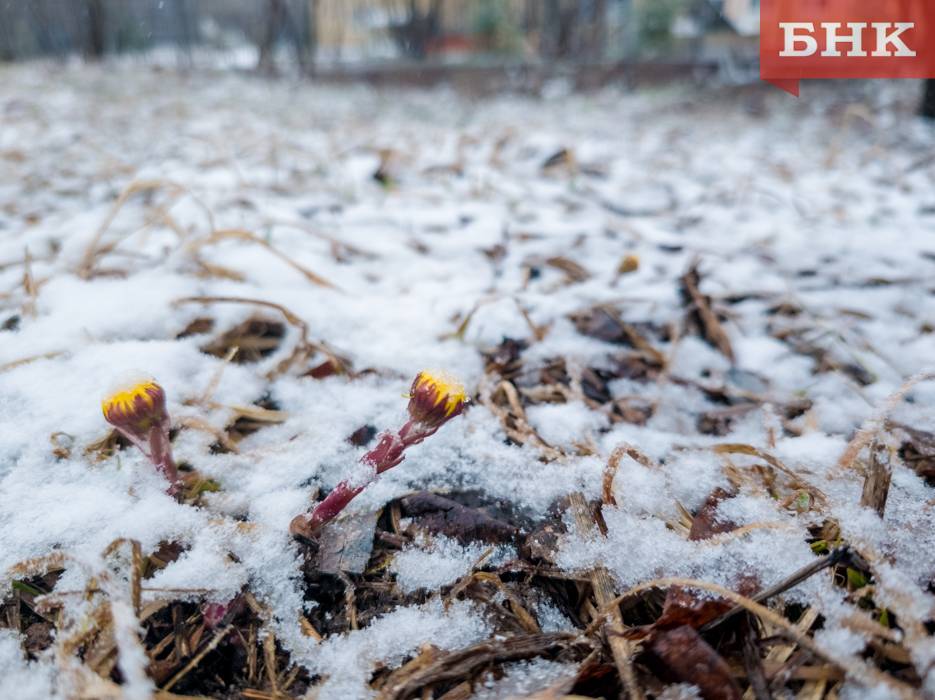 В Коми прогнозируют 20-градусные морозы