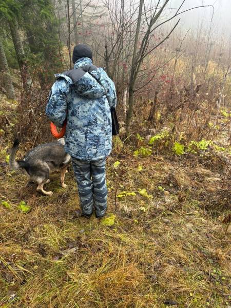 nar4-800x600.jpg nar4-800x600.jpg