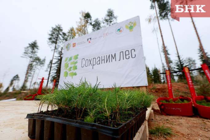 BOB_1113.jpg BOB_1113.jpg