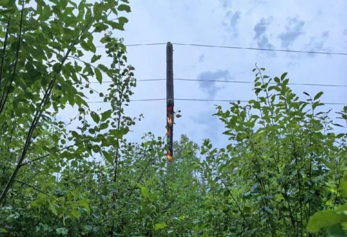 В Усть-Куломском районе молния подожгла опору ЛЭП