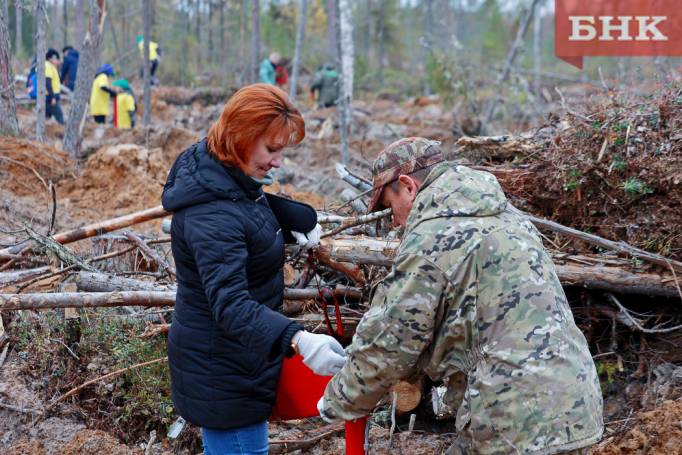 BOB_1294.jpg BOB_1294.jpg