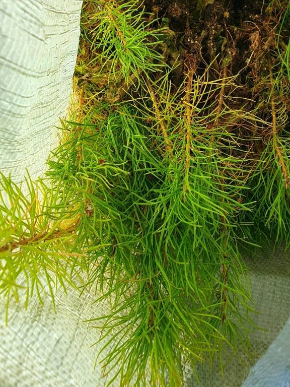 S-oFasNOAkG_wjY9w5geY5ectkpaZEydvzQZpDVAlY9A3IyiwbsMlRg6QXVgGy2TcN85rSs8PaOabwZbrAZkexFg.jpg S-oFasNOAkG_wjY9w5geY5ectkpaZEydvzQZpDVAlY9A3IyiwbsMlRg6QXVgGy2TcN85rSs8PaOabwZbrAZkexFg.jpg