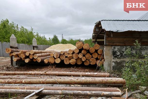 ТПП Коми проведет семинар по обороту древесины в государственном лесном реестре во ФГИС ЛК