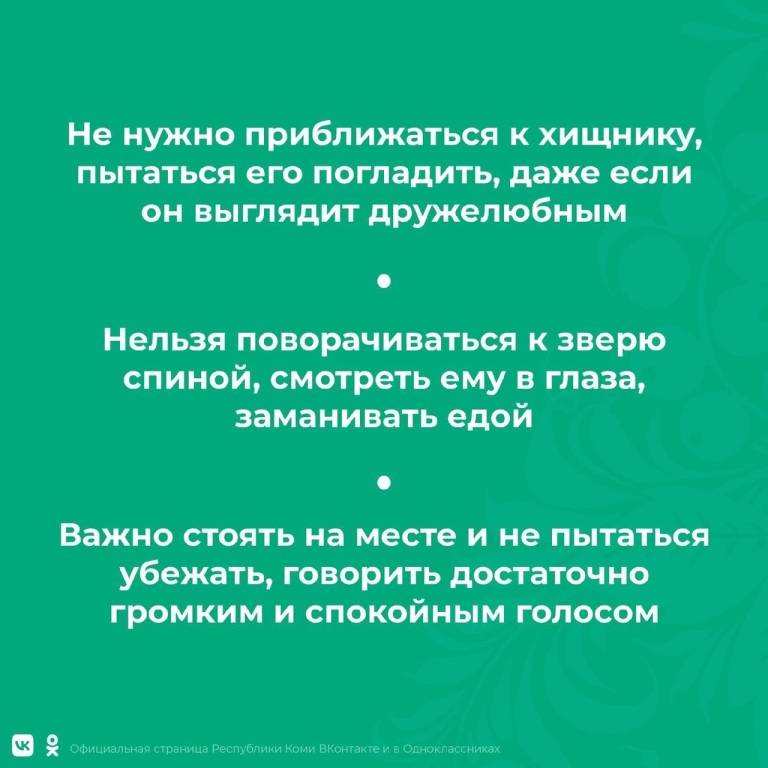 751d2YL5F1U.jpg
