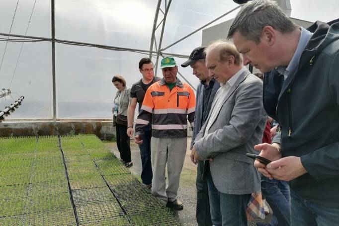 Представители лесопромышленного комплекса со всей России едут в Сыктывкар на форум