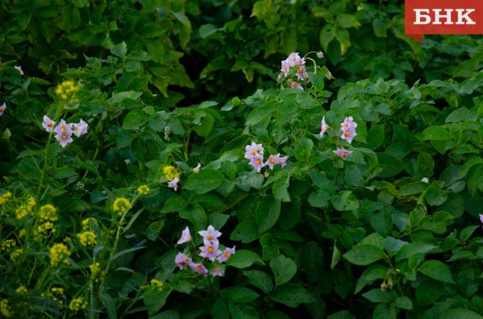 DSC_0435.jpg DSC_0435.jpg
