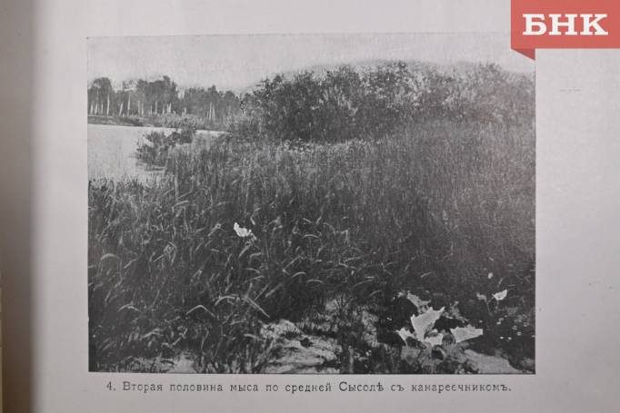 Z06_0050.jpg Z06_0050.jpg