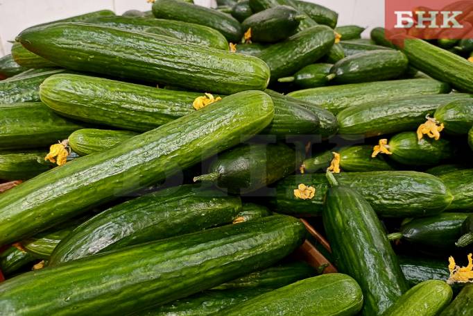 Картофель и огурцы заметнее всего подорожали в Коми