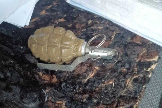 В Эжве нашли гранату и 90 боеприпасов