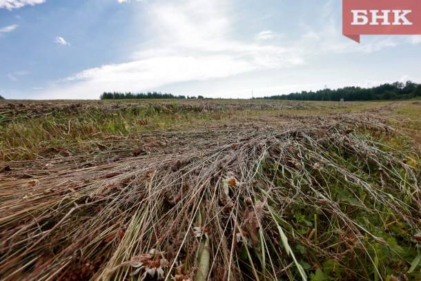 Руководитель Минсельхоза Коми заявил, что регион сможет ежегодно расширять посевные площади