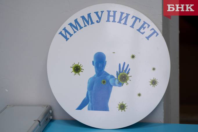 В Коми циркулируют вирусы свиного и гонконгского гриппа