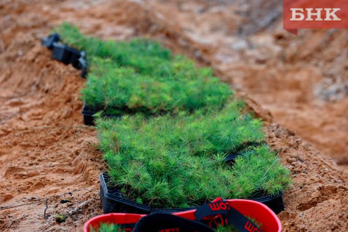 BOB_1207.jpg BOB_1207.jpg