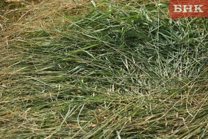 Фермера в Коми оштрафовали на полмиллиона за кочки и сено на полях