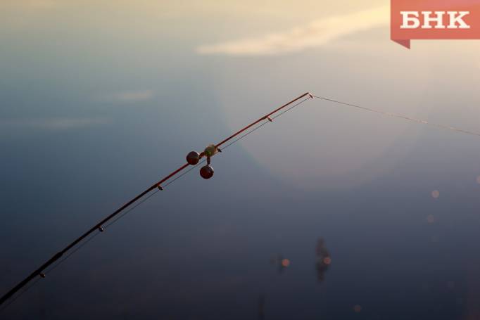 В Минприроды Коми прокомментировали «массовую гибель» рыбы в Ухте