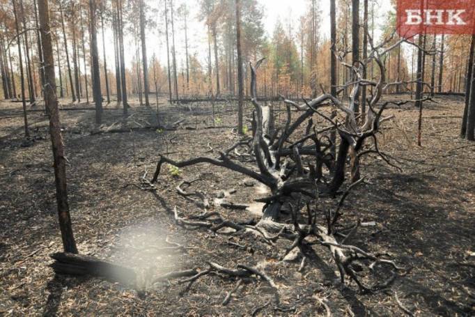 Пожароопасный сезон в Коми начнется в конце апреля