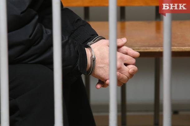 В Коми за три года российское гражданство потеряли 30 мигрантов