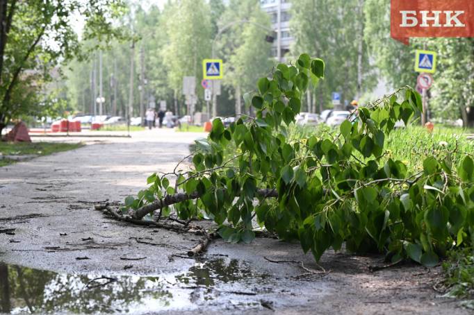 В Коми продолжатся грозы и ливни