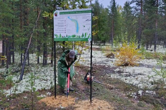 В Печорском районе обозначили границы заказника «Конецбор-Даниловский»