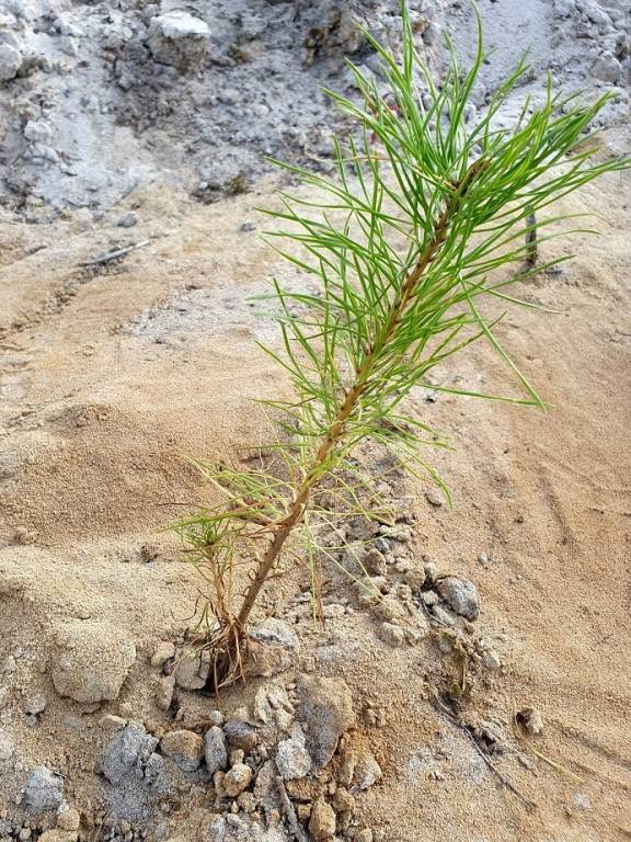 TQr6bgpsnY2vOB5CA7VMH19z5QfwzJb3eVKs9q6fFmEiCzrZAe_cdsKktOv0RZ-XQLbKLGUVzsHDnWZmNdAVfpOP.jpg TQr6bgpsnY2vOB5CA7VMH19z5QfwzJb3eVKs9q6fFmEiCzrZAe_cdsKktOv0RZ-XQLbKLGUVzsHDnWZmNdAVfpOP.jpg