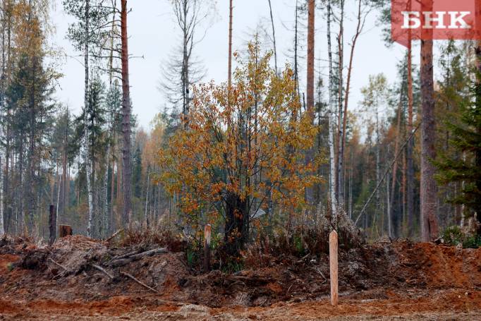 BOB_1111.jpg BOB_1111.jpg