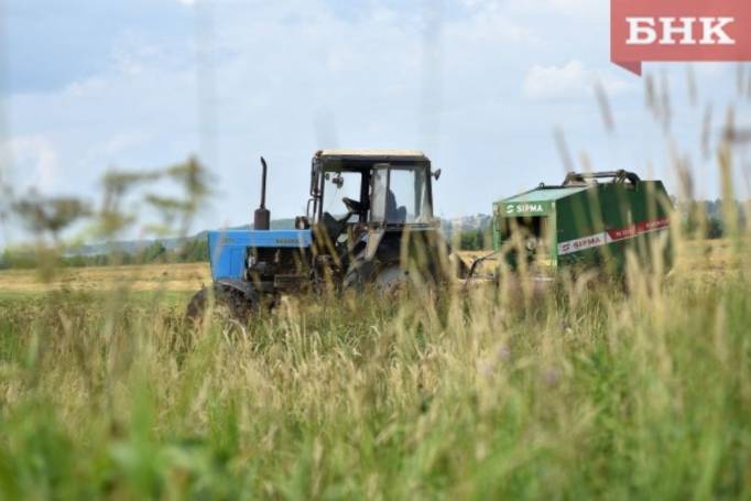 В Коми будет тепло
