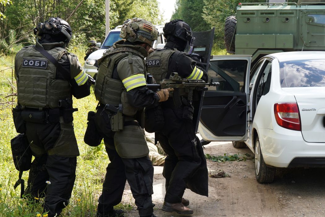 Силовики нашли лесной схрон и обезвредили «группу диверсантов» в Сыктывдинском районе