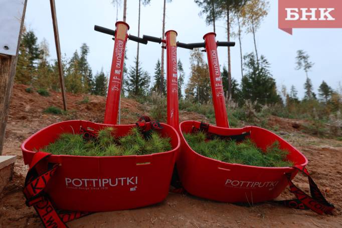 BOB_1101.jpg BOB_1101.jpg